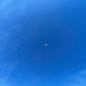 Meet your Posher, Heedan